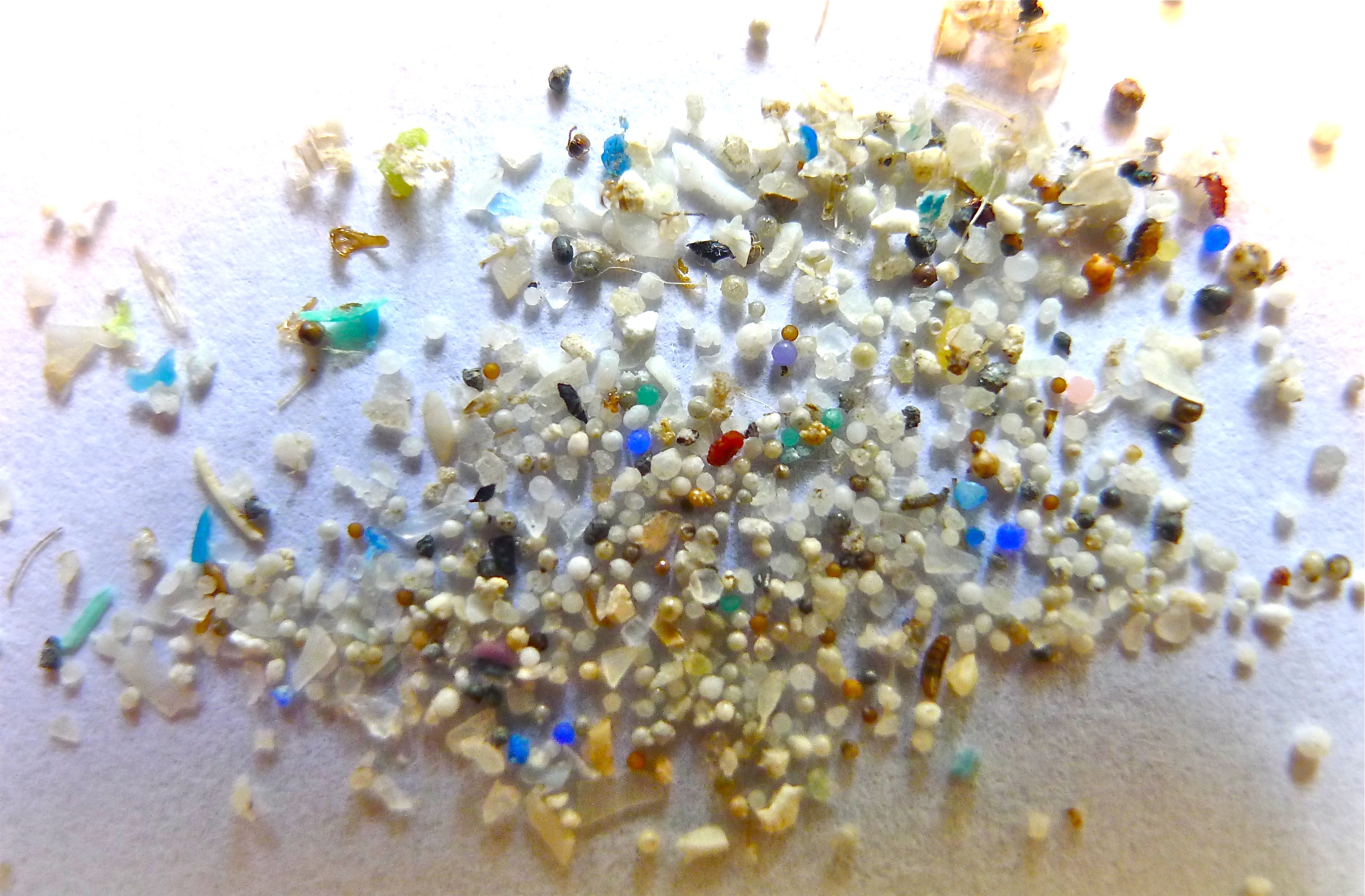 Microplastic copy.jpg